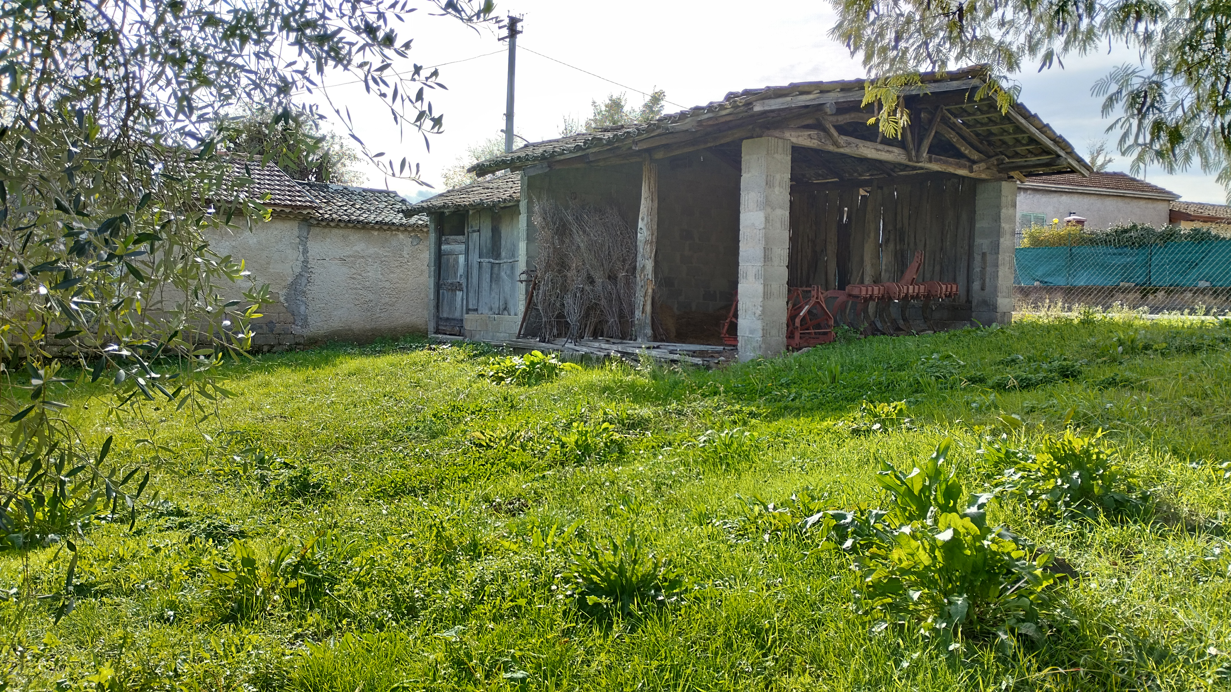 Rudere con Terreno.